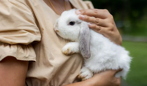 Τα ζώδια σήμερα 17/4: Ημερήσιες προβλέψεις για κάθε ζώδιο