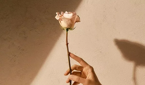 Spicy Rose: Το πιο φωτεινό και πικάντικο άρωμα τριαντάφυλλου που έχετε δοκμάσει