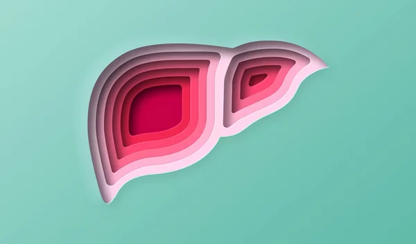 Λίπος στο συκώτι: Υποχωρεί ποτέ ή μένει για πάντα;