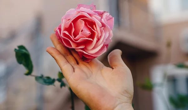 Mήπως η "βαριά" περίοδος κάνει τη ζωή σου πιο δύσκολη;