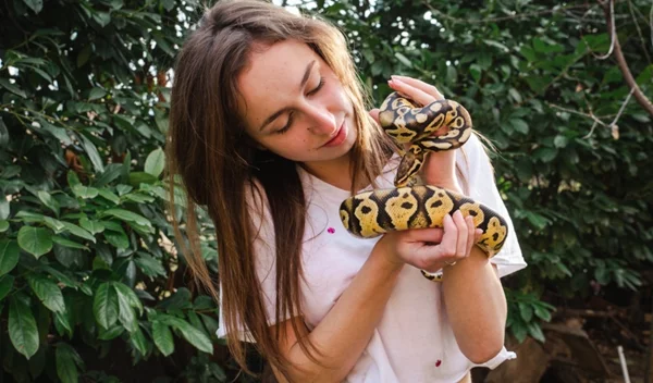 Κινδυνεύουμε στ' αλήθεια από τα φίδια στην Ελλάδα;