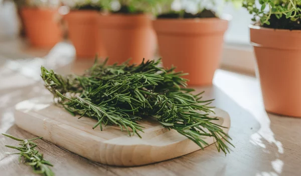 Μειώνουν το φούσκωμα, ενιοσχύουν τη μνήμη: Τα βότανα και τα μπαχαρικά με τα περισσότερα οφέλη στην υγεία