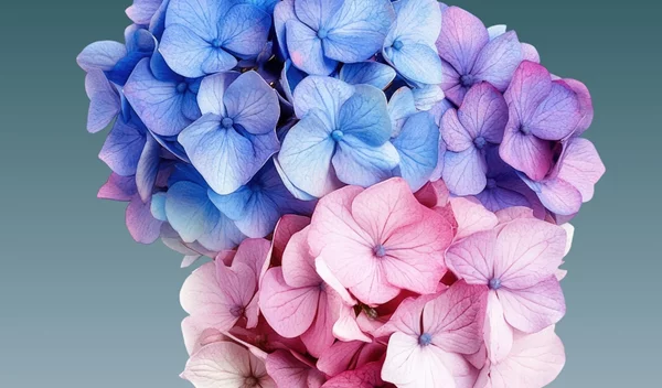 ΙΑΣΩ Γενική Κλινική: Προσφορά Ελέγχου ΣΜΝ με αφορμή την Παγκόσμια Ημέρα Σεξουαλικής Υγείας