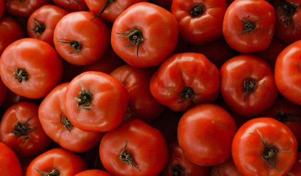 Το "μαγικό" κόλπο για να κρατήσεις τις ντομάτες σου φρέσκες για εβδομάδες – και πιθανόν δεν το έχεις δοκιμάσει ποτέ