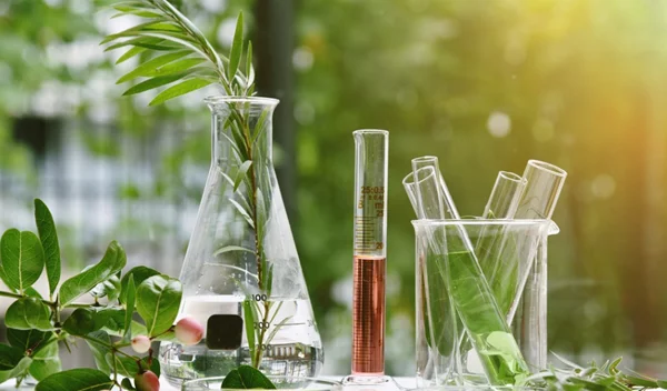 Εναλλακτικές θεραπείες: 8 βότανα που κάνουν καλό στην υγεία