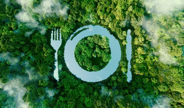 Ποια διατροφή έχει μικρότερο αποτύπωμα άνθρακα; Νέα έρευνα αποκαλύπτει