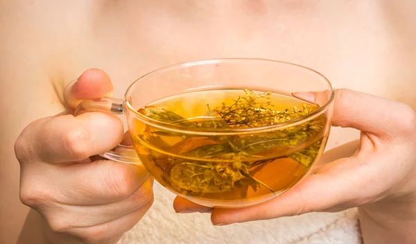 8 βότανα που μειώνουν τον πονοκέφαλο