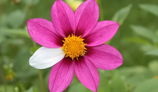 Sanofi: Ενίσχυση της καινοτομίας και της επένδυσης στην Ελλάδα για τα σπάνια νοσήματα