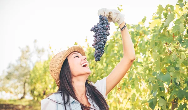 Nature's superpower: Τα φρούτα του δάσους και τα σταφύλια σύμμαχοι υγείας και της ομορφιάς