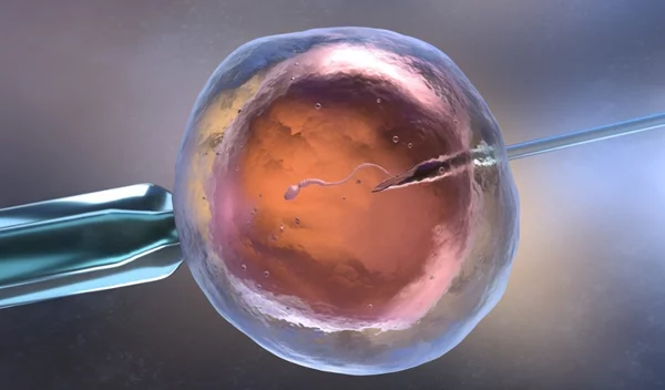 Μπορεί να συνδέονται οι θεραπείες υπογονιμότητας με τον καρκίνο;