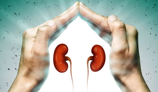 Χρόνια νεφρική νόσος: Μία νόσος που ξεκινά χωρίς συμπτώματα