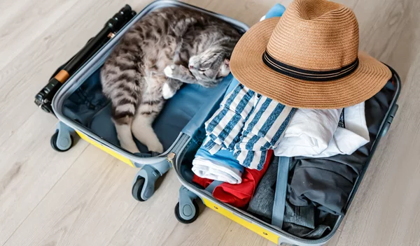 Φεύγεις για διακοπές; Η μέθοδος 5-4-3-2-1 θα σε βοηθήσει να φτιάξεις εύκολα τη βαλίτσα σου