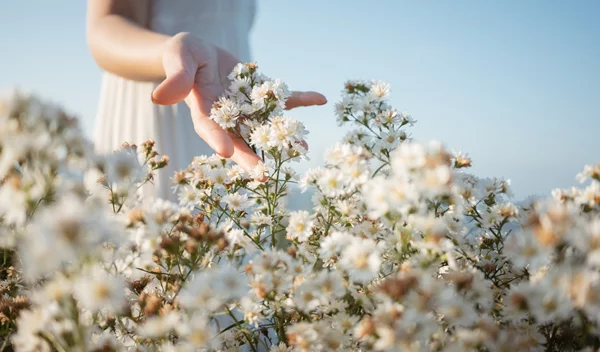 Πέντε μύθοι για το slow living, το νέο lifestyle trend