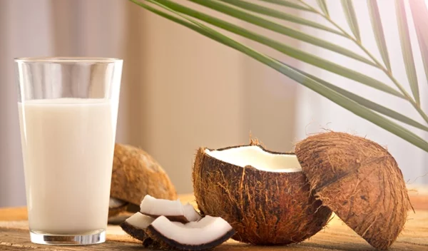 Survivor All Star: Μπορείς να τρέφεσαι μόνο με καρύδα;