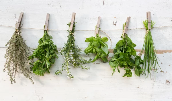 Το βότανο που αντιμετωπίζει αποτελεσματικά το στρες και βοηθά στην υγιή γήρανση