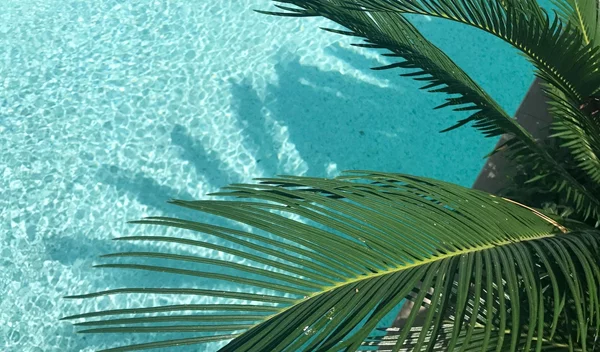 Τα ζώδια σήμερα 21/7: Ημερήσιες προβλέψεις για κάθε ζώδιο