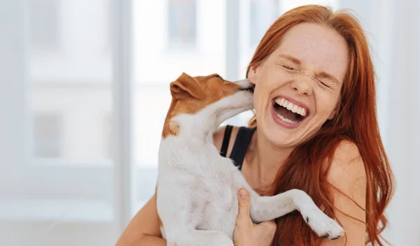 Παγκόσμια ημέρα ζώων: Μένεις μόνη; Πάρε σκύλο!