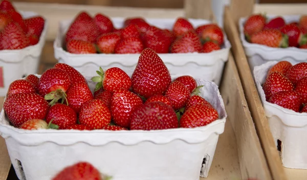 Το κόλπο για να μην χαλάνε γρήγορα οι φράουλες