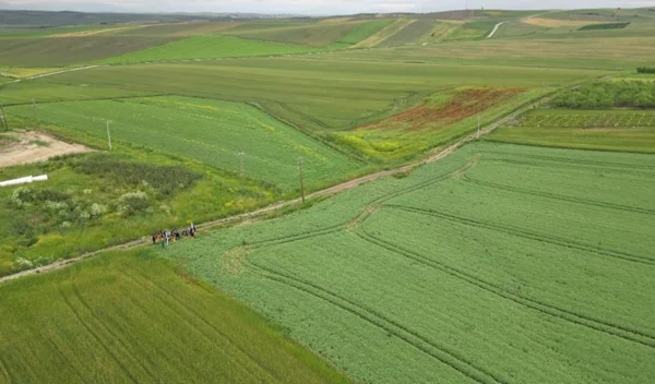 Ανακαλύψαμε το μυστικό της θρέψης στη γη των ελληνικών οσπρίων