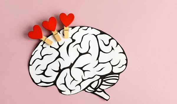 Επιστήμονες ανακάλυψαν το 'κέντρο της αγάπης' στον εγκέφαλο