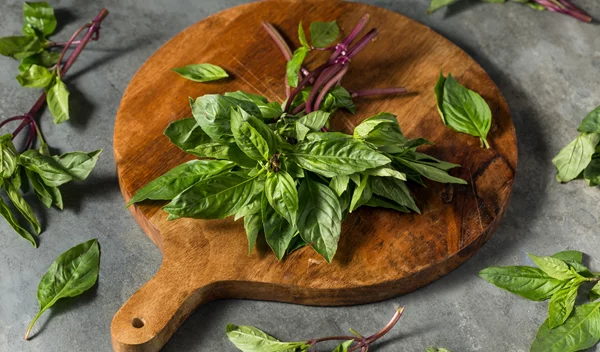 Το αγχολυτικό μυρωδικό που το βρίσκεις παντού!