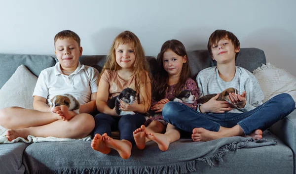 Είσαι άραγε πιο έξυπνη από τα αδέλφια σου; Έχουμε την απάντηση