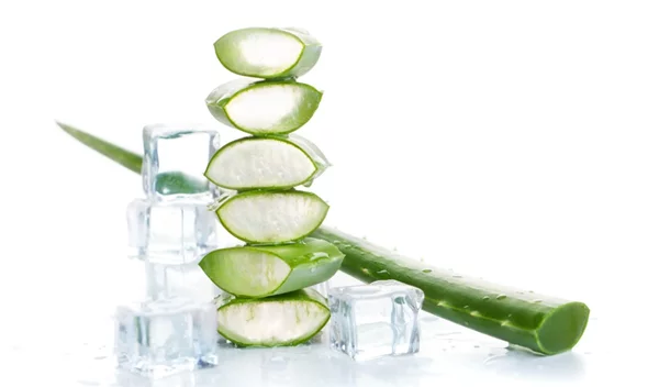 Τα παγάκια με αλόη θα σε σώσουν φέτος το καλοκαίρι!