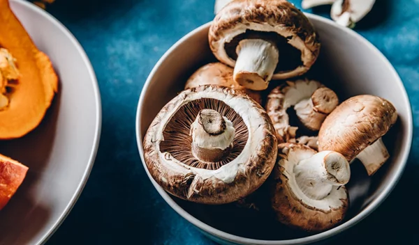 Μπορούν τα μανιτάρια να σε προστατεύσουν από  την κατάθλιψη;