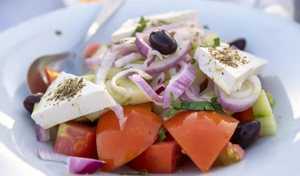 Μηδενικά σάκχαρα, πλούσιο σε πρωτεΐνη: Ανακάλυψε τον κόσμο και τα οφέλη του κατσικίσιου τυριού