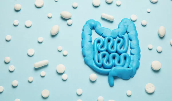 Ποιες βιταμίνες παράγει το έντερό μας; Πώς να τις ενισχύσεις