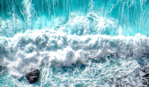 H weDo/ Professional γιορτάζει την Παγκόσμια Ημέρα Ωκεανών