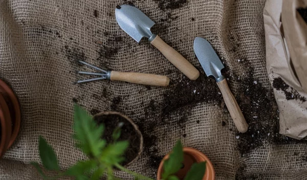 Πώς η κηπουρική μπορεί να βελτιώσει την υγεία σου