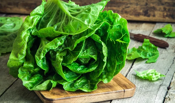 Μαρούλι, σπανάκι και σαλάτες σε σακουλάκι: Πόσο ασφαλή είναι, ακόμα κι αν τα πλύνεις;