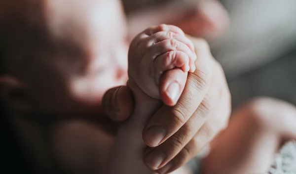 Γονιμότητα: Οι πιο σημαντικές διατροφικές αρχές που ευνοούν την αναπαραγωγική ικανότητα