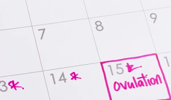 Θέλεις να γίνεις μαμά; Ή όχι ακόμη; Σε κάθε περίπτωση, μάθε ποιες είναι οι γόνιμες μέρες σου!