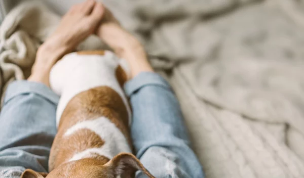 Η καθιστική ζωή είναι ασθένεια! Πάρε τα μέτρα σου