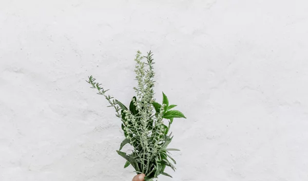 Τα βότανα που καίνε λίπος και οι συνταγές για κυτταρίτιδα, επίπεδη κοιλιά, έλεγχο όρεξης