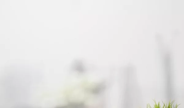 Καθαρό και υγιεινό σπίτι με αιθέρια έλαια (χωρίς χημικά καθαριστικά)