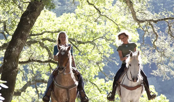 Έχεις δοκιμάσει ιππασία; Δες πού θα κάνεις και τι σου προσφέρει