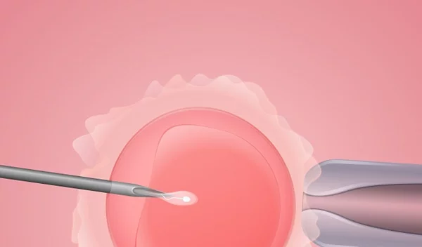 Δωρεά ωαρίων και εμβρύων: Τι πρέπει να γνωρίζεις;