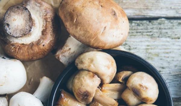 Δηλητηριώδη μανιτάρια: Τι να προσέχεις για να μην πάθεις επικίνδυνη δηλητηρίαση