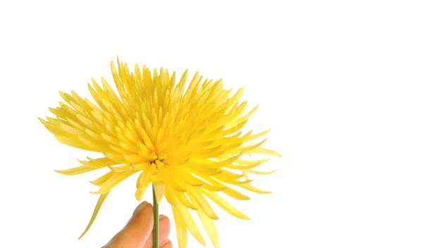 Ξέρεις τι είναι το σκληρόδερμα; Μάθε τα πάντα για τη νόσο που προτιμά τις γυναίκες!