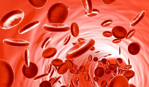 Μάθε τις νεότερες εξελίξεις στη θεραπεία των αιματολογικών κακοηθειών (λευχαιμία και λέμφωμα)