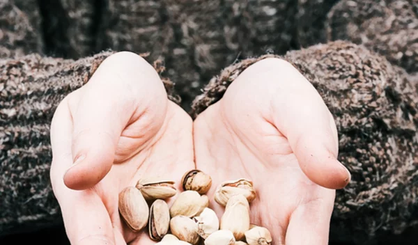 Με μόλις 20 γραμμάρια ξηρούς καρπούς την ημέρα θα ζήσεις περισσότερο!