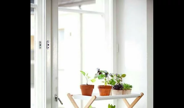 10 τέλειες ιδέες για να αναβαθμίσεις τις γλάστρες σου