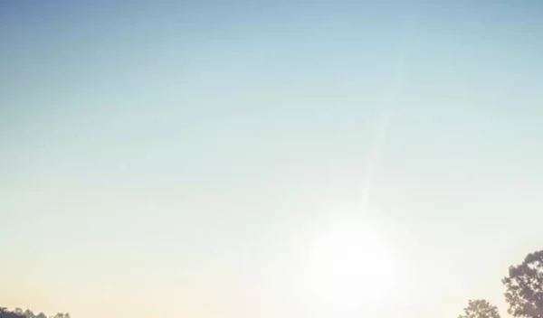 Μήπως οι αλλεργίες σε παχαίνουν; Και πώς αλλιώς επηρεάζουν -αναπάντεχα- την υγεία σου;