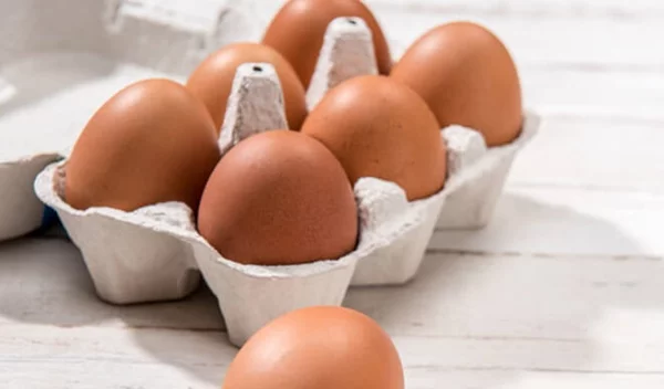 Δίνεις Πανελλήνιες; Τι είναι το DHΑ που χρειάζεσαι στη διατροφή για πιο δυνατό εγκέφαλο