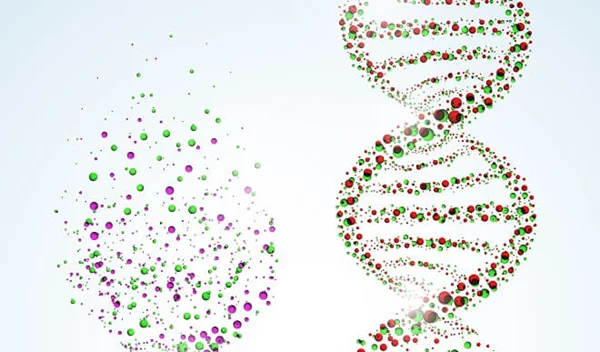 Ξέρεις τι είναι τα τελομερή; Να πώς θα κρατήσεις τα χρωμοσώματα σε καλή κατάσταση και θα επιβραδύνεις τη γήρανση