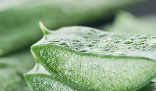 Σπιτικά γιατρικά για να απαλύνεις ένα μικρό κάψιμο στο δέρμα