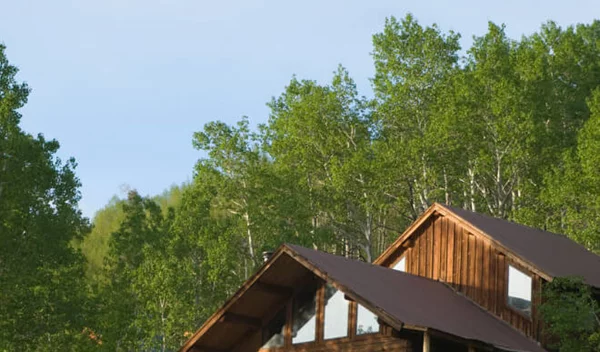 Προστασία από πυρκαγιά: Tι να κάνεις αν η φωτιά πλησιάζει το σπίτι σου